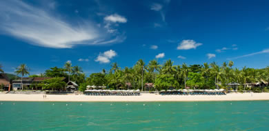 Peace Resort Samui - Beach